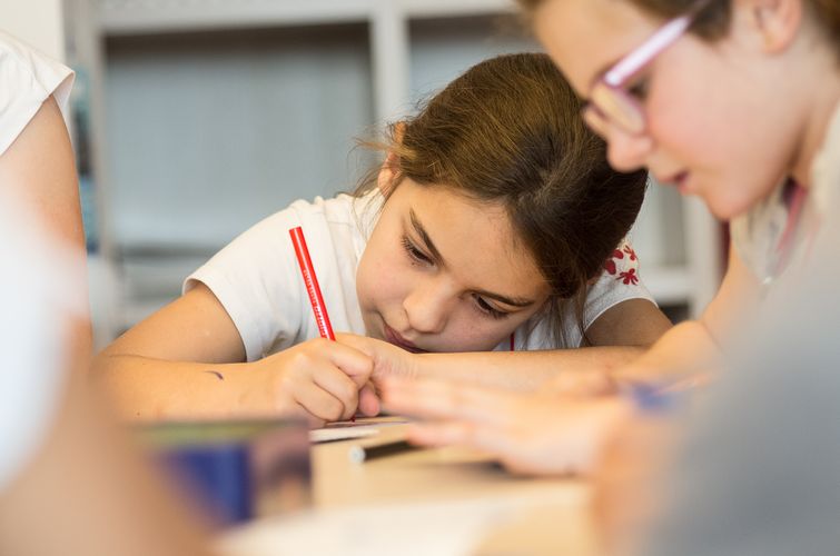 Picture - Authorable card image